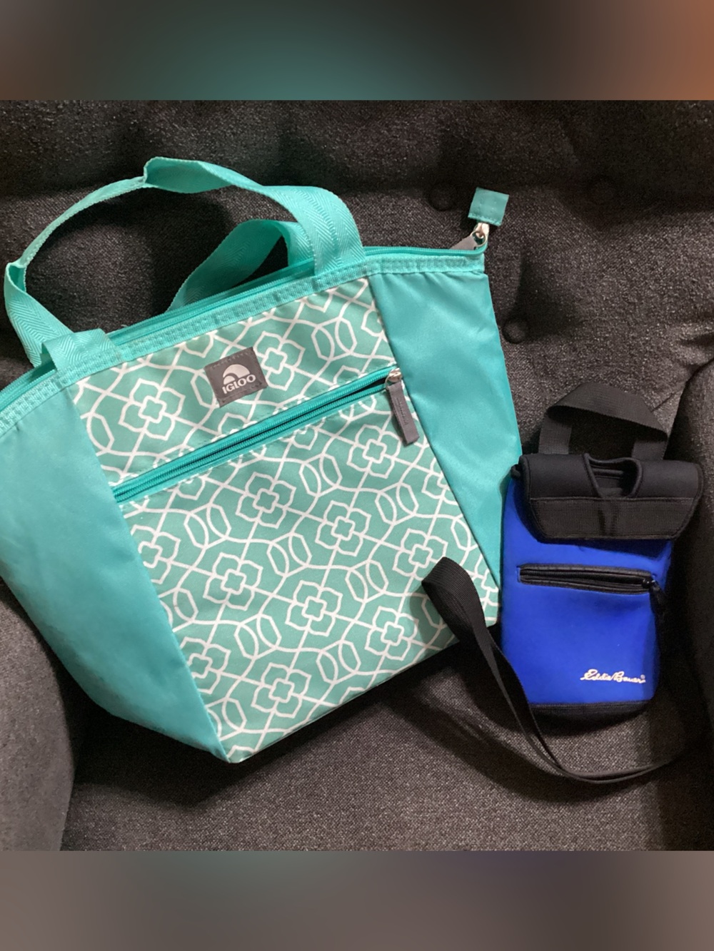 Igloo Tote & Eddie Bauer water travel bag